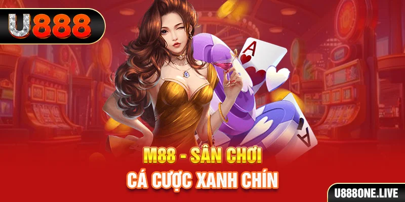 kubet 19 gà chọi cậu thanh