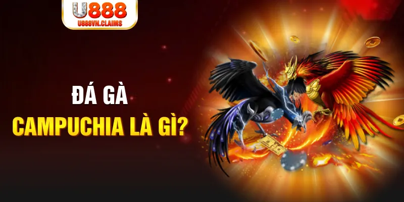 kubet 19 xổ số miền nam thứ sáu
