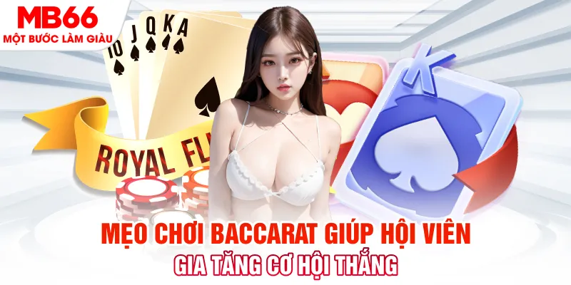 kubet 19 đá gà 88