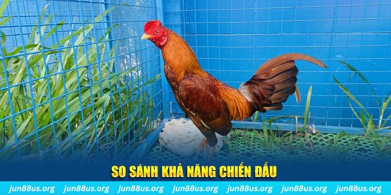 kubet 19 xổ số tiền giang