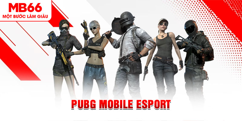 kubet 19 xổ số minh ngọc – miền nam