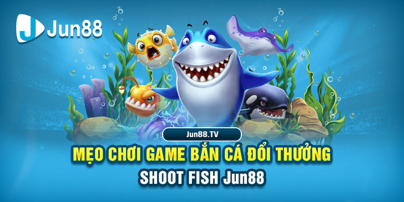 kubet 19 tai game danh bai bigkool ve may tinh