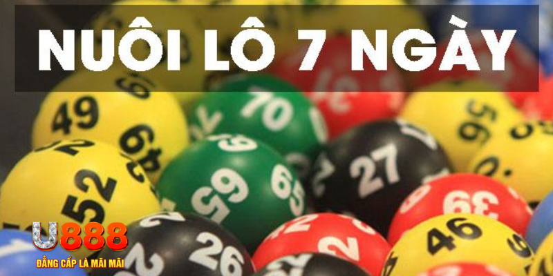kubet 19 IM Thể Th