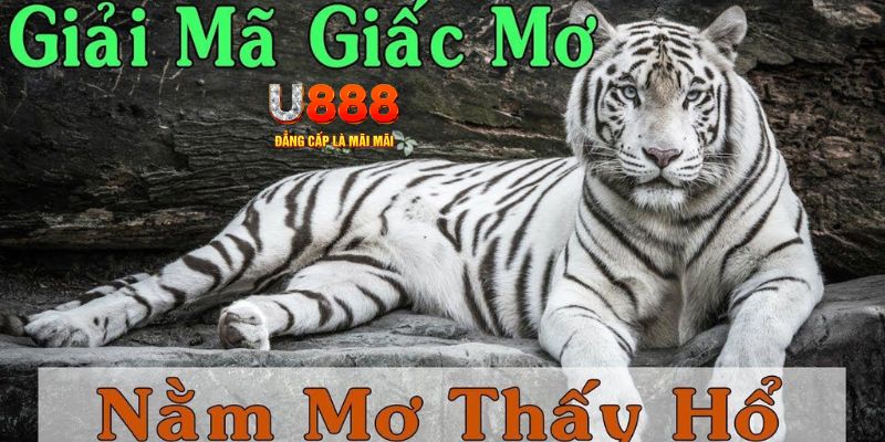 kubet 19 xổ số kiến thiết miền bắc
