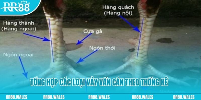 kubet 19 nổ hũ chơi như thế nào