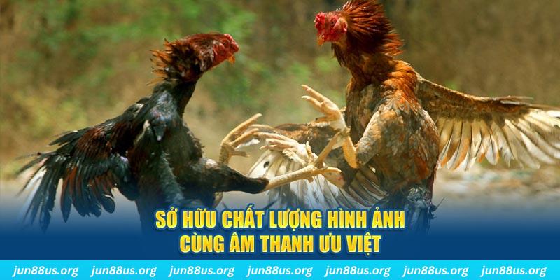 kubet 19 tai game danh bai ve may tinh