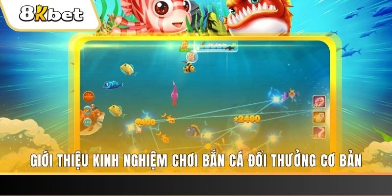 kubet 19 8 bí ẩn chơi nổ hũ ít ai biết