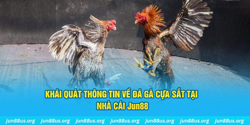 kubet 19 game bài trên máy tính