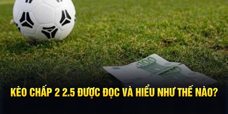 kubet 19 đá gà thomo