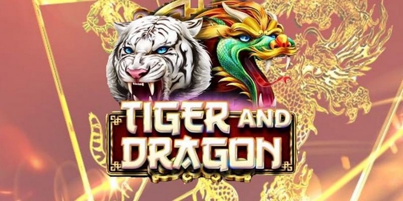 kubet 19 trực tiếp đá gà thomo