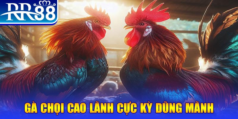kubet 19 natural” trong baccarat nghĩa là gì？